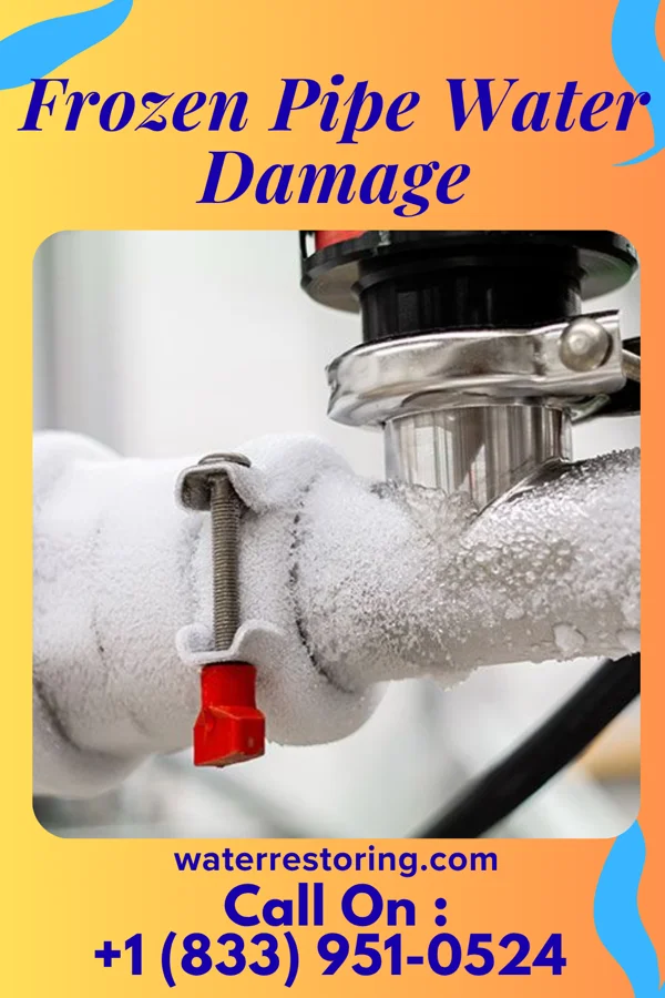 Frozen Pipe Water Damage in Mesquite Creek, AZ